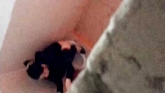 Porno nessuna registrazione  Una giovane coppia sexy è difficile per voi in natura nella foresta video sex pelose