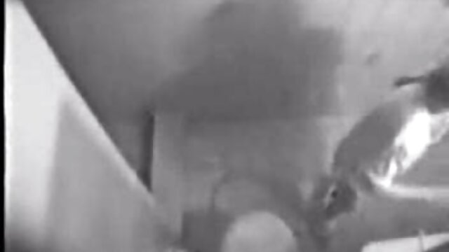 Porno nessuna registrazione  Le coppie lesbiche video tettone pelose si sistemano comodamente sui gradini